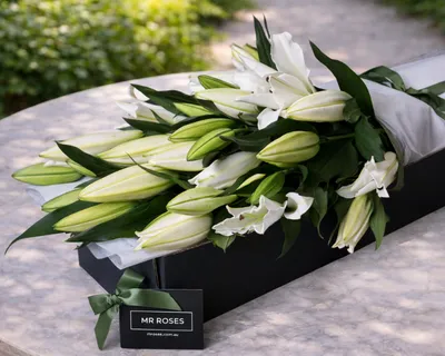 white lilies and purple roses White Lilies & Purple Roses