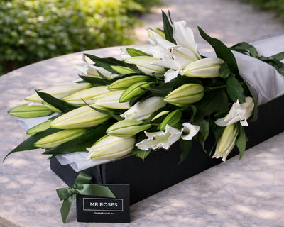 fragrant white oriental lilies 