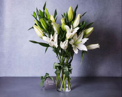 fragrant white lilies for delivery