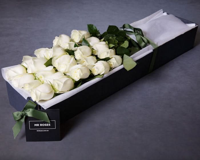 Member-Exclusive Medium Stemmed White Cream Roses