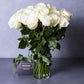 medium stemmed white roses