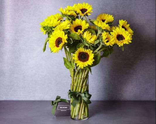 sunflowers in a vase