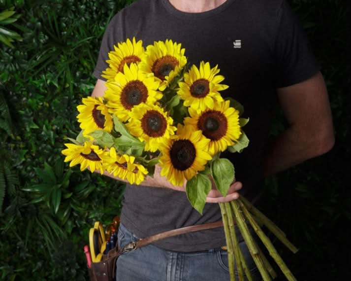 sunflowers for same day delivery