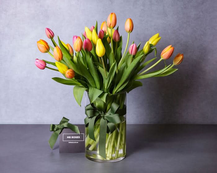 Tulips & Umbrella