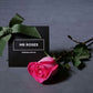 Bulk Individually Wrapped Pink Roses (10-300)