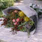 native flower bouquet on table
