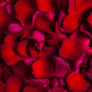 Graze & Gaze Exclusive - Red Rose Petals (Standard)