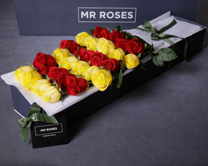 red and yellow long stemmed roses