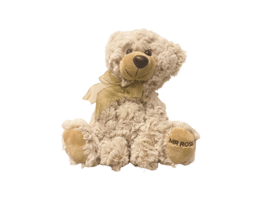 Valentine's Day Teddy