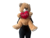 Mr. Deano Giant Bear