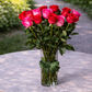 pink and red long stemmed roses