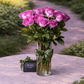 purple roses in a vase