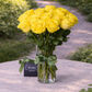 medium stemmed yellow roses in a vase