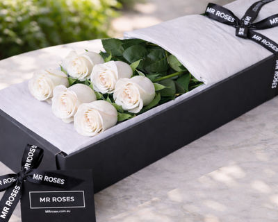 6 long stemmed white roses