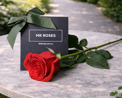 Valentine's Day Flowers Single Red Rose