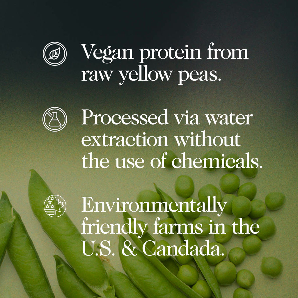 Pea Protein Powder 1lb | Naked Pea - 1lb