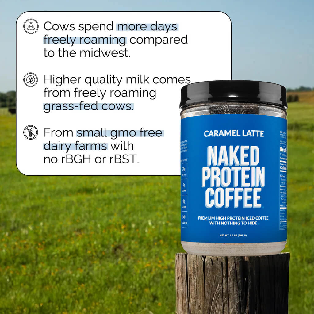 Caramel Latte Protein Iced Coffee | Naked Protein Coffee - 17 Servings
