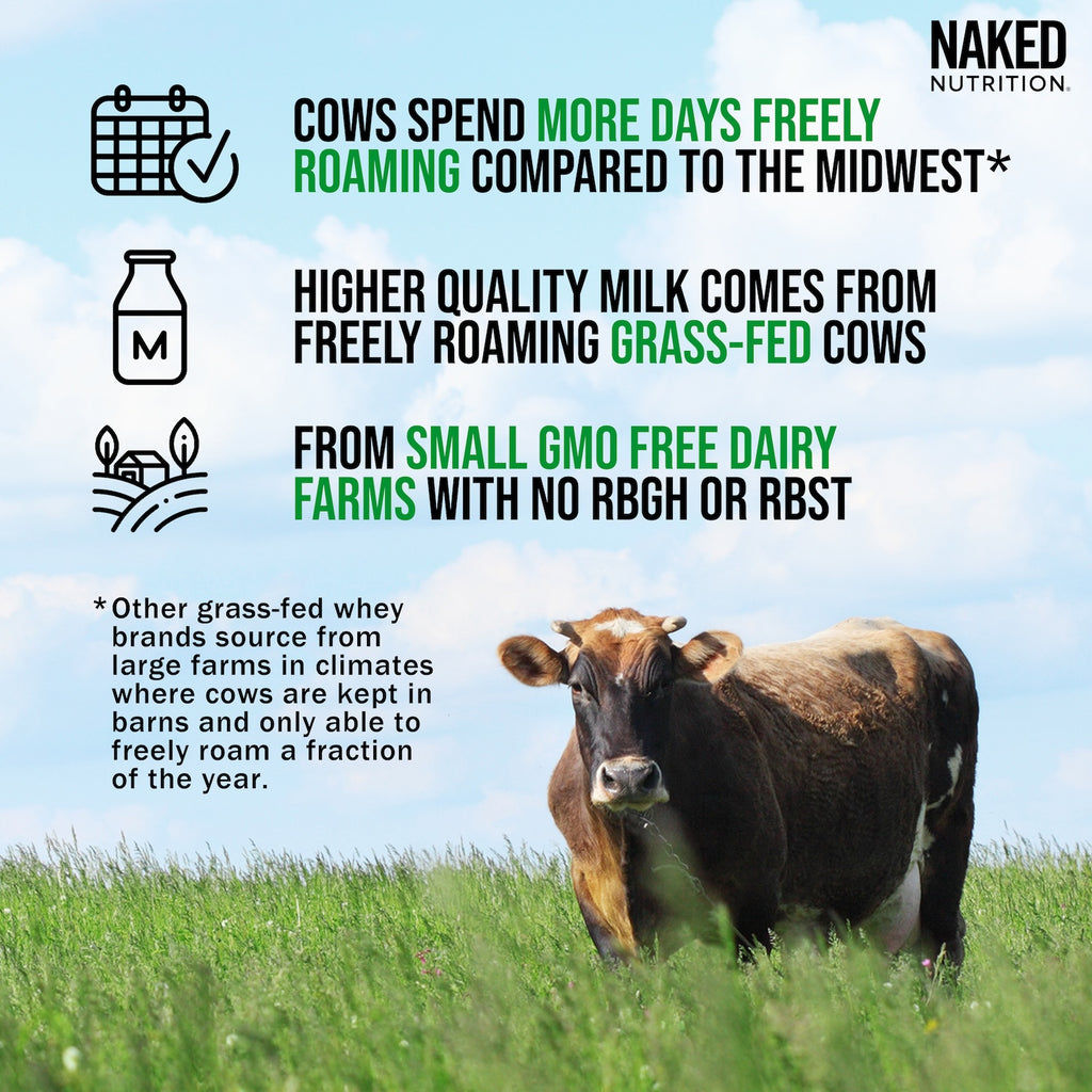 grass fed whey protein source