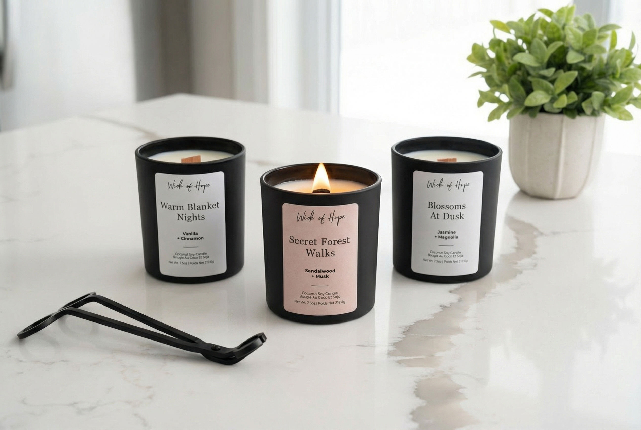 collection-banner-image