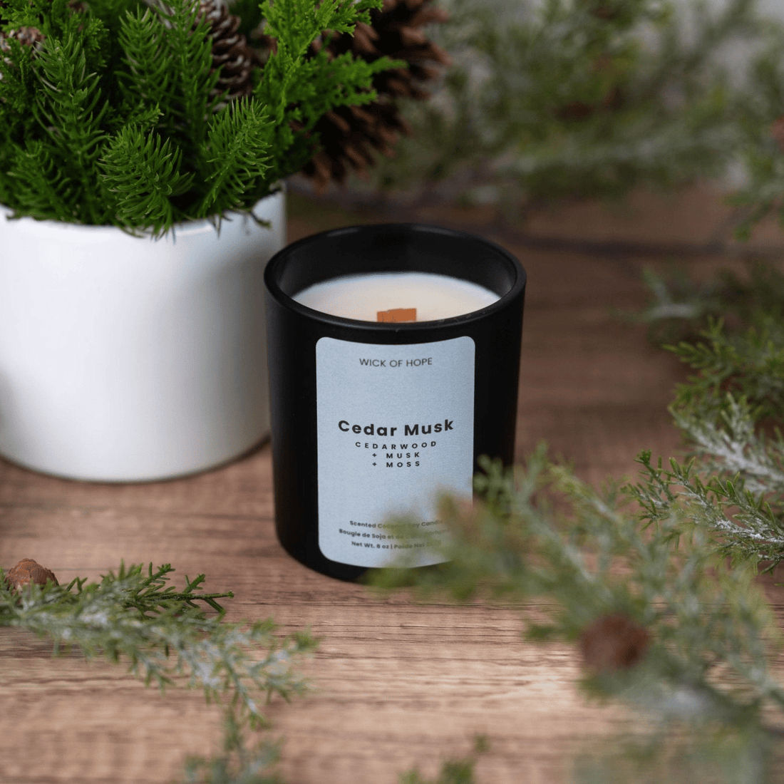 Cedar Musk – Woodsy Musk Candle | Wick of Hope