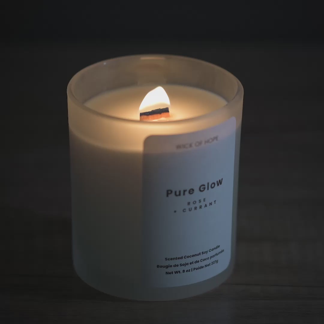 Sunlit Grove – Citrus Musk Candle | Wick of Hope