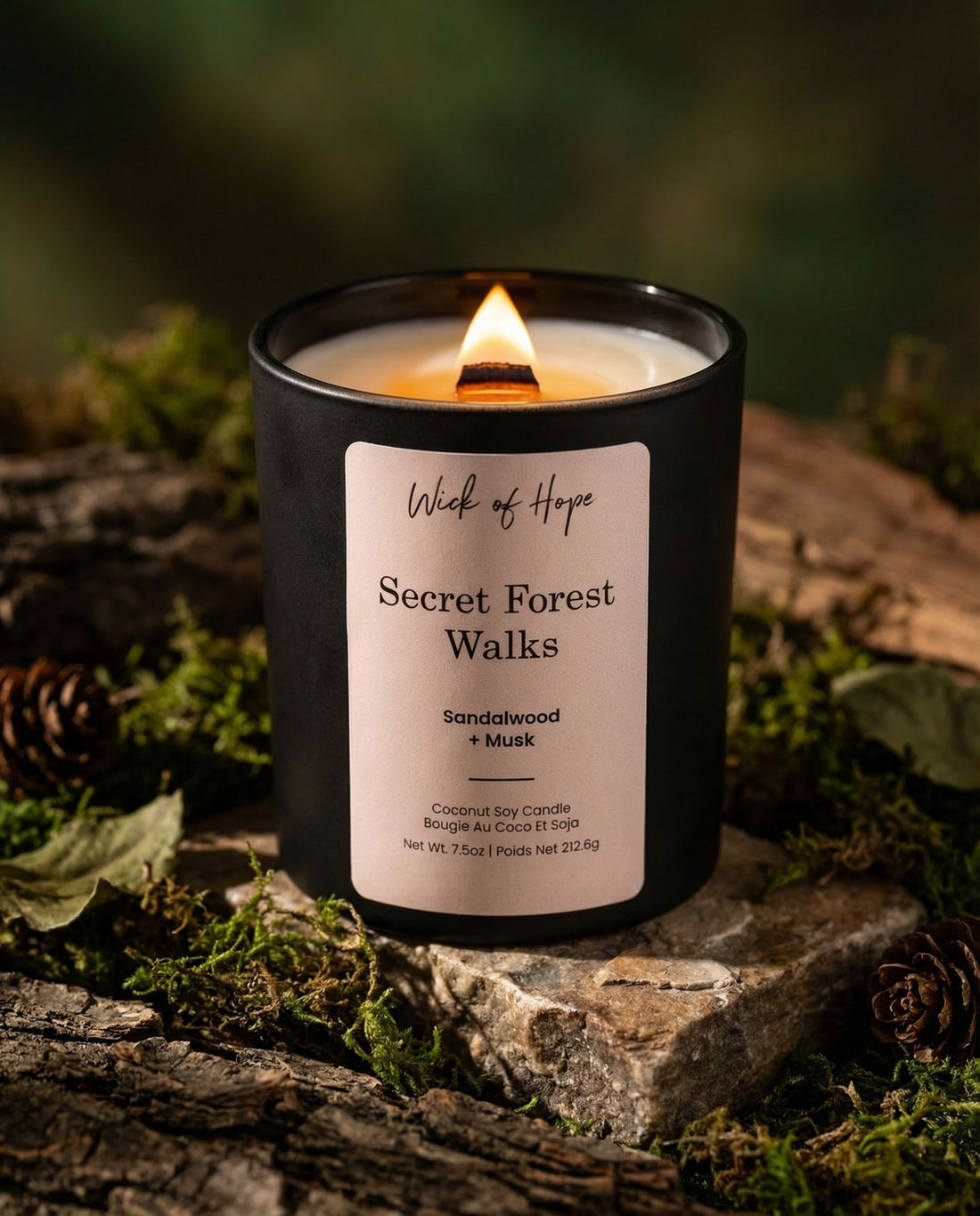 Secret Forest Walks Candle | Sandalwood + Musk