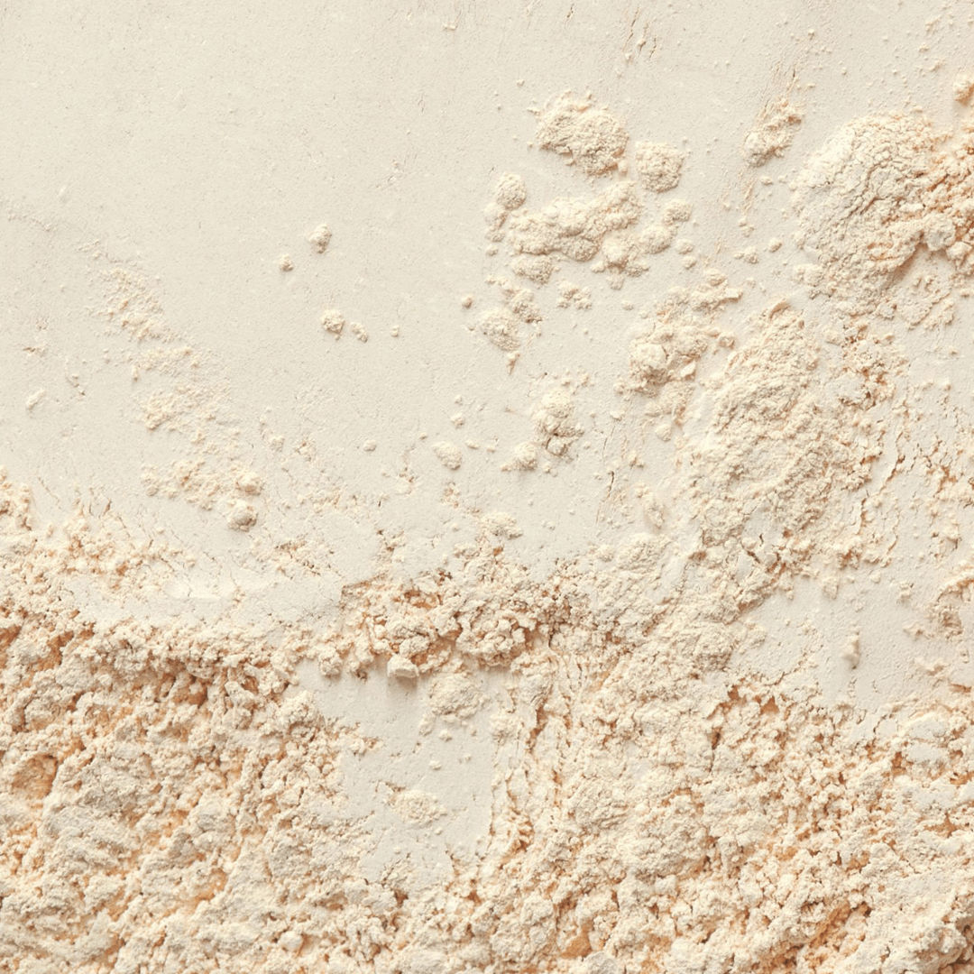Bacillus coagulans