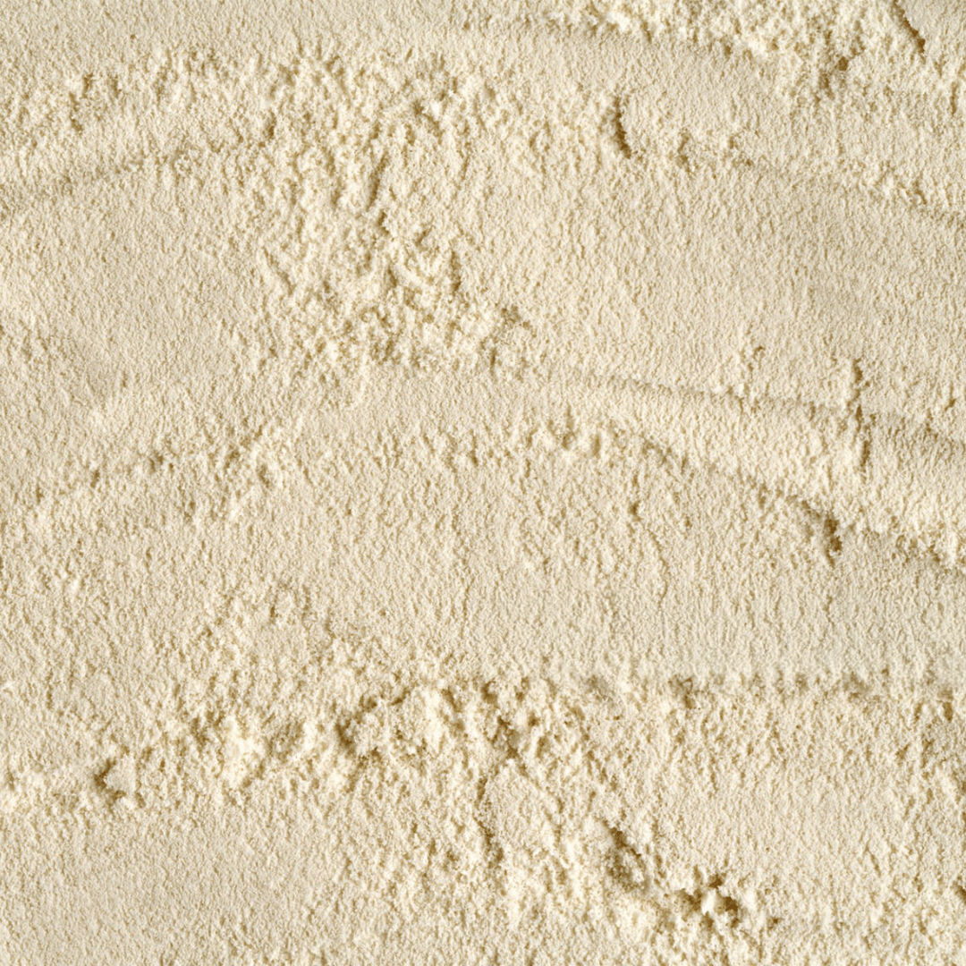 Lactobacillus casei