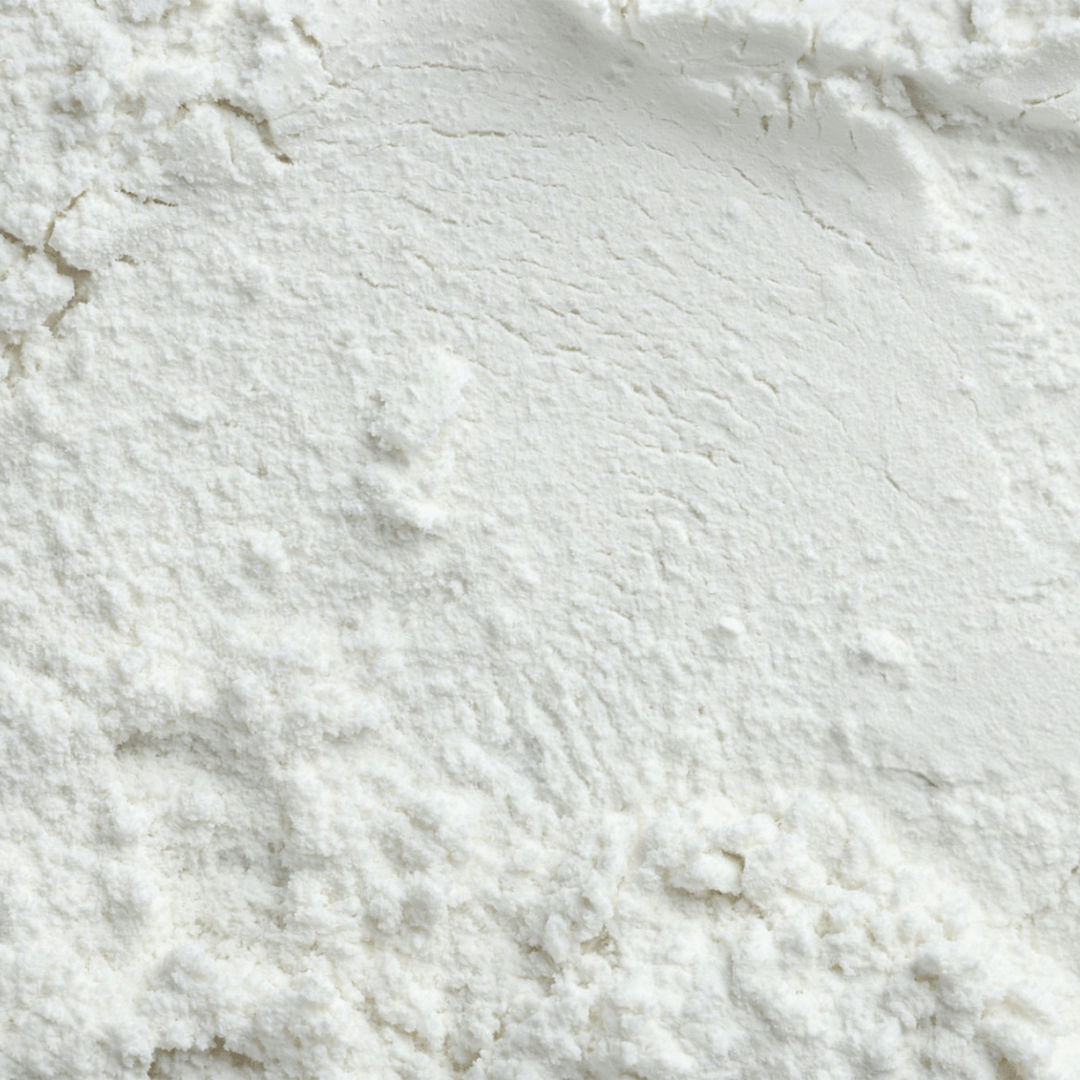 Lactobacillus plantarum