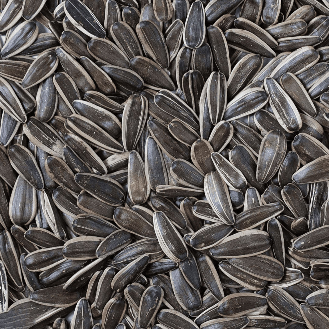 Sunflower Lecithin