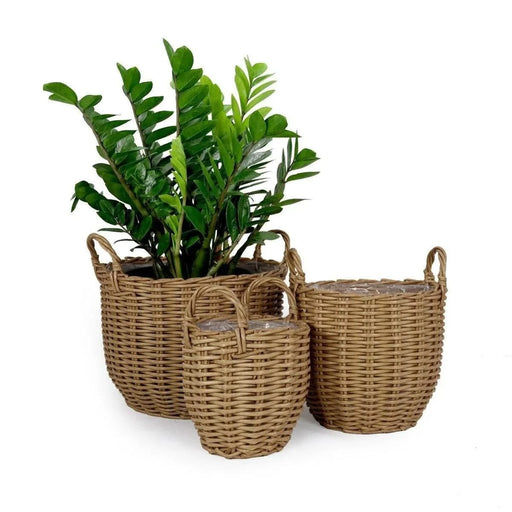 3-Pack Catleza Wicker Multi-purposes Basket with handler - Planter basket Natural -DTYStore