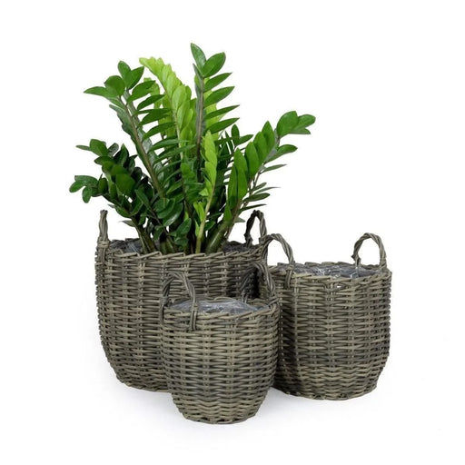 3-Pack Catleza Wicker Multi-purposes Basket with handler - Planter basket Gray -DTYStore