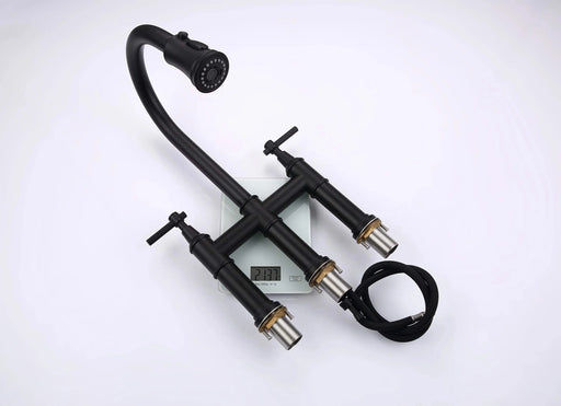 Bridge Kitchen Faucet with Pull-Down Sprayhead in Spot Default -DTYStore