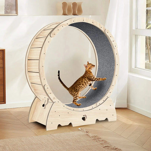 Cat Exercise Wheel for Indoor Cats, Cat Running Wheel with Carpeted Runway, Cat Sport Treadmill Wheel for Kitty's Longer Life, Fitness Weight Loss Device, 37' Natural Wood Color Default -DTYStore