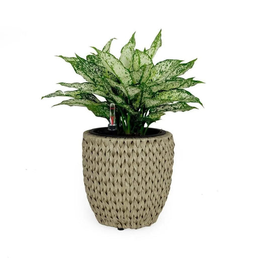 Catleza Self-watering Wicker Planter - Garden Decoration Pot - Round 10.6" Beige -DTYStore