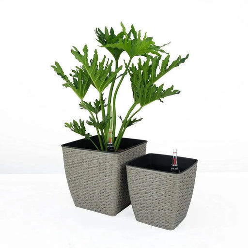 DTY Signature 2-Pack Self-watering Planter - Hand Woven Wicker - Thin Square Gray -DTYStore