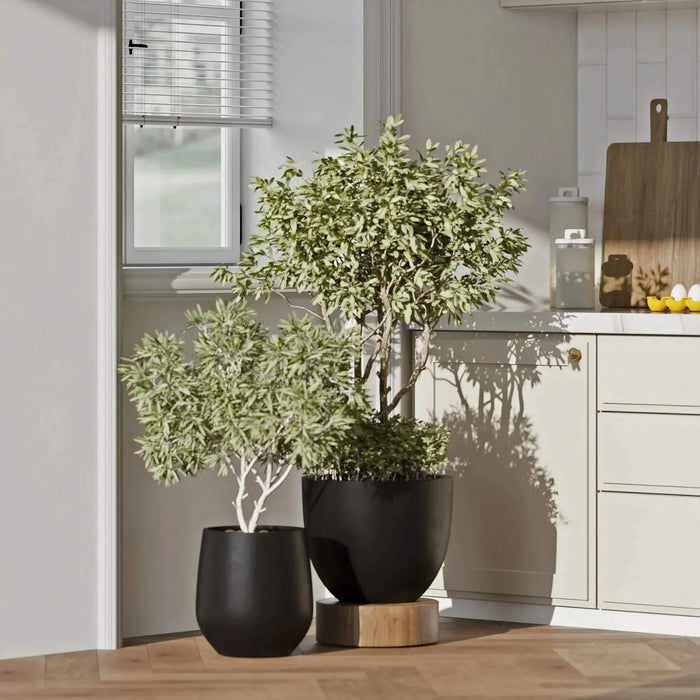 DTY Signature Mount Belford 1-piece Fiberstone Planter -DTYStore