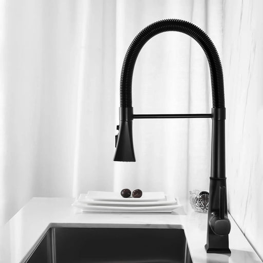 Kitchen Faucet with Pull Down Sprayer Default -DTYStore