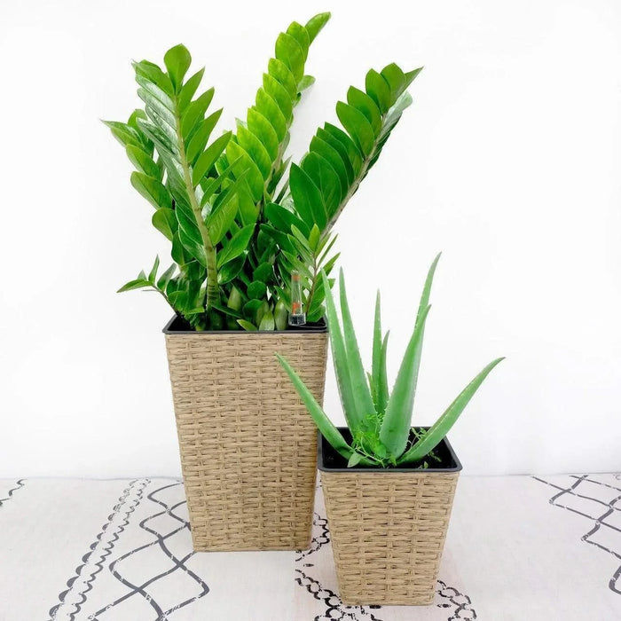 Set of 2 CATLEZA 7-inch and 9.4-inch Square Wicker Planters -DTYStore