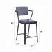 Set of 2 Counter Height Chairs with Metal Frame, Gunmetal Default -DTYStore