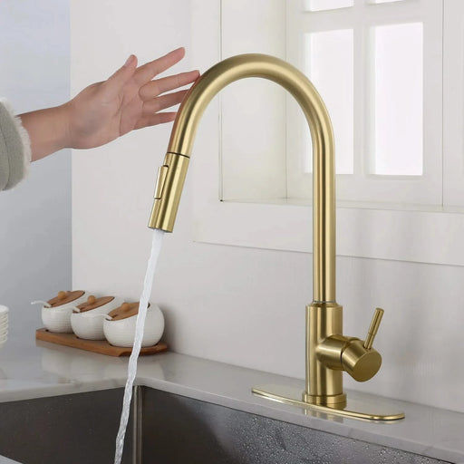 Touch Kitchen Faucet with Pull Down Sprayer Default -DTYStore
