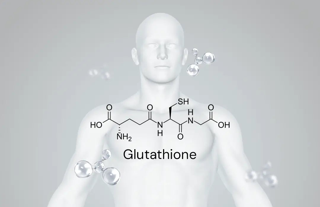 Glutathione Function in the Body Glutathione Function in the Body