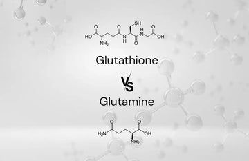 Glutathione vs Glutamine