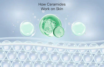 How Ceramides Work on Skin: Know Everything About Skin Barrier Repair 