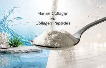 Marine Collagen vs Collagen Peptides: What's the Difference? 