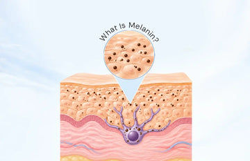 What Is Melanin? Understanding Its Function in Skin and What Affects Its Production 