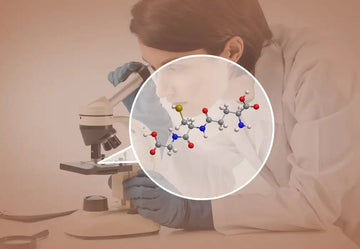The Discovery of the Master antioxidant Glutathione The Discovery of the Master antioxidant Glutathione
