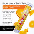 Escor-Z Vitamin C Tablet Orange Flavour 