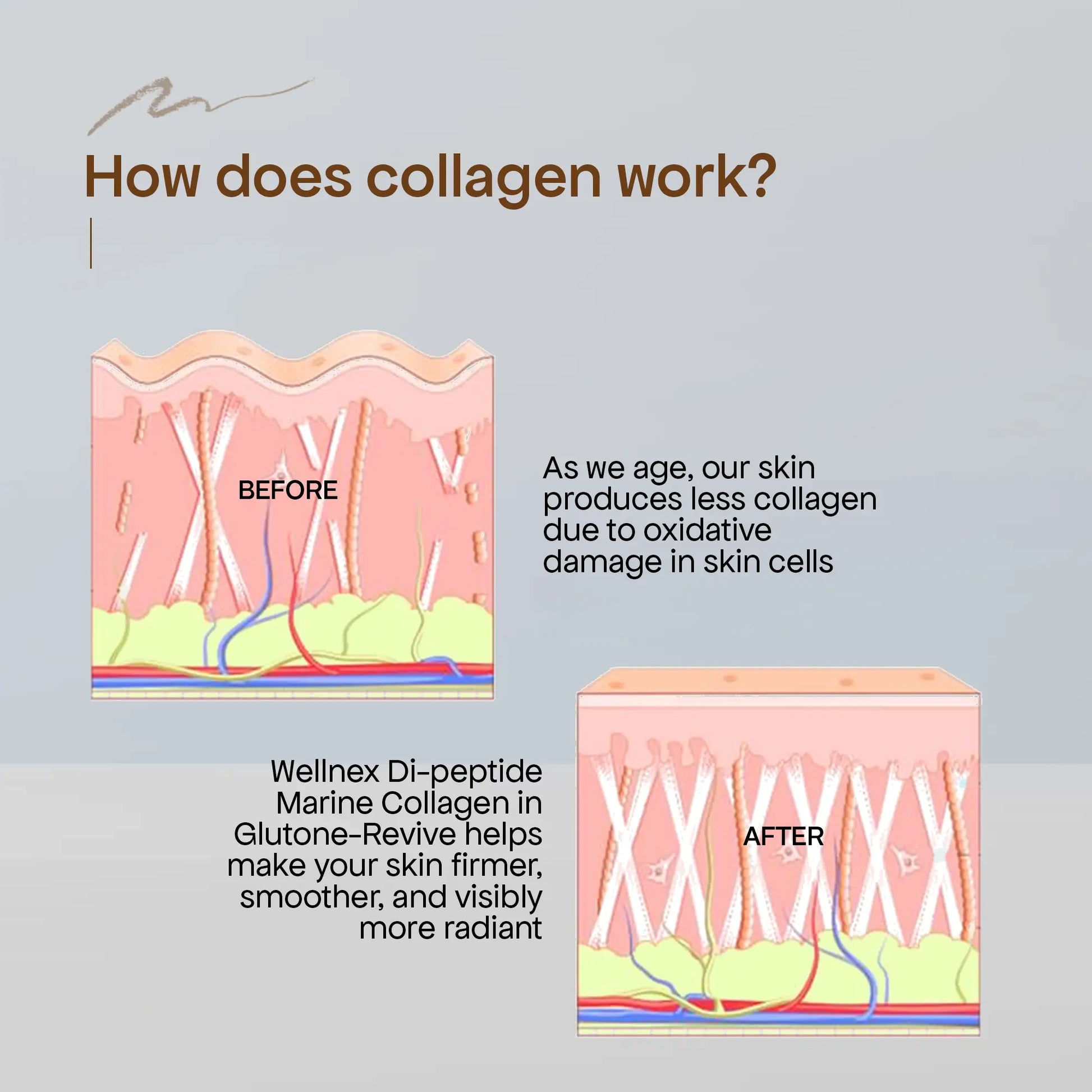 Glutone 1000 + Glutone Revive - Youthful Skin Combo