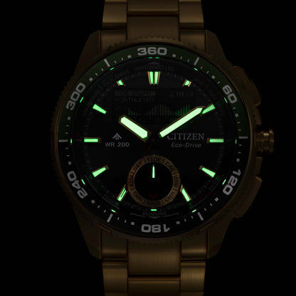 Herrenarmbanduhr bei Dunkelheit, grüne Leuchtpunkte und Leuchtzeiger auf schwarzem Zifferblatt